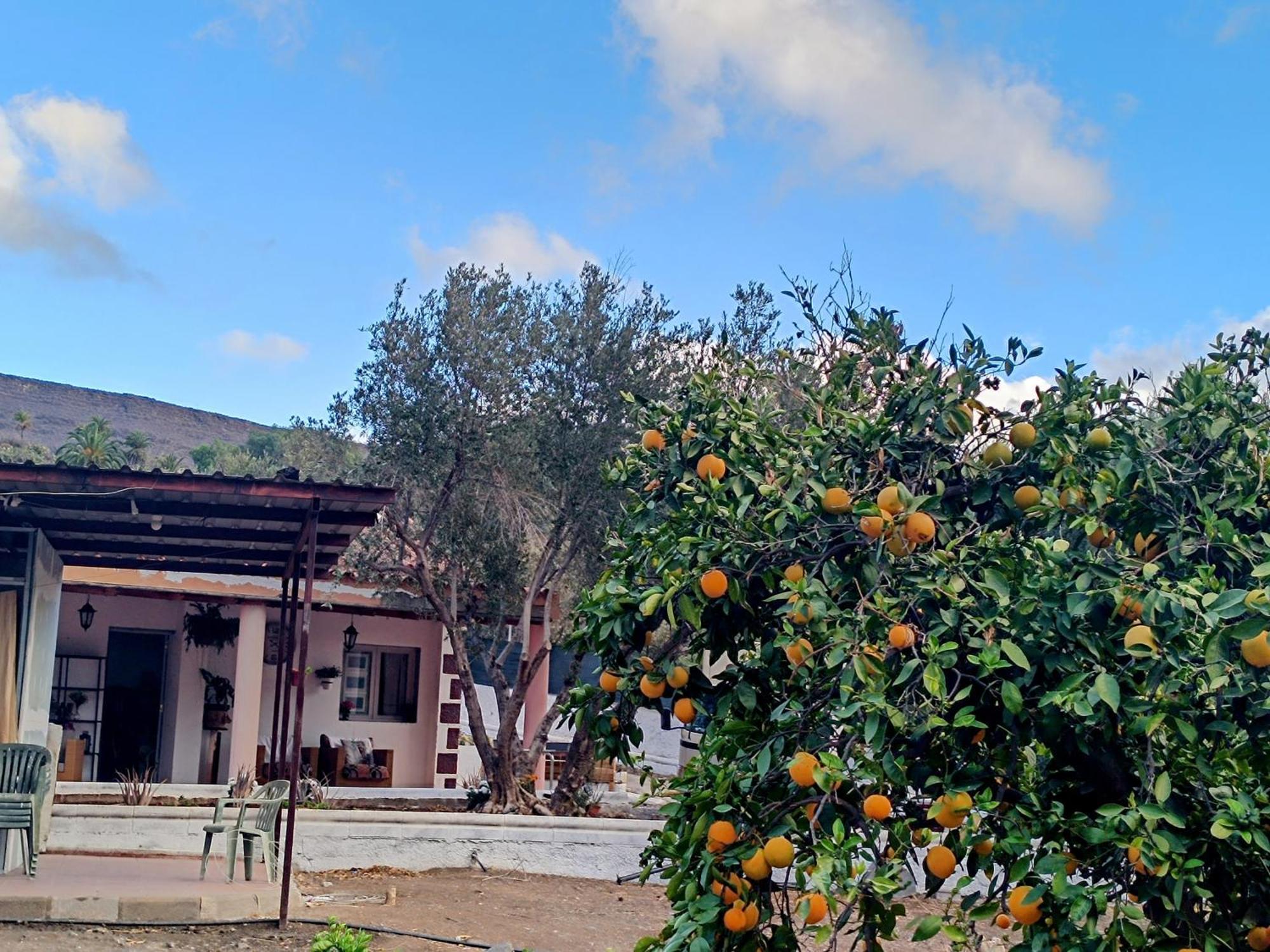 Вилла La Casa De La Pradera Santa Lucia De Tirajana Экстерьер фото